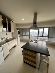 The Draycott (D10), Apartment #481004581